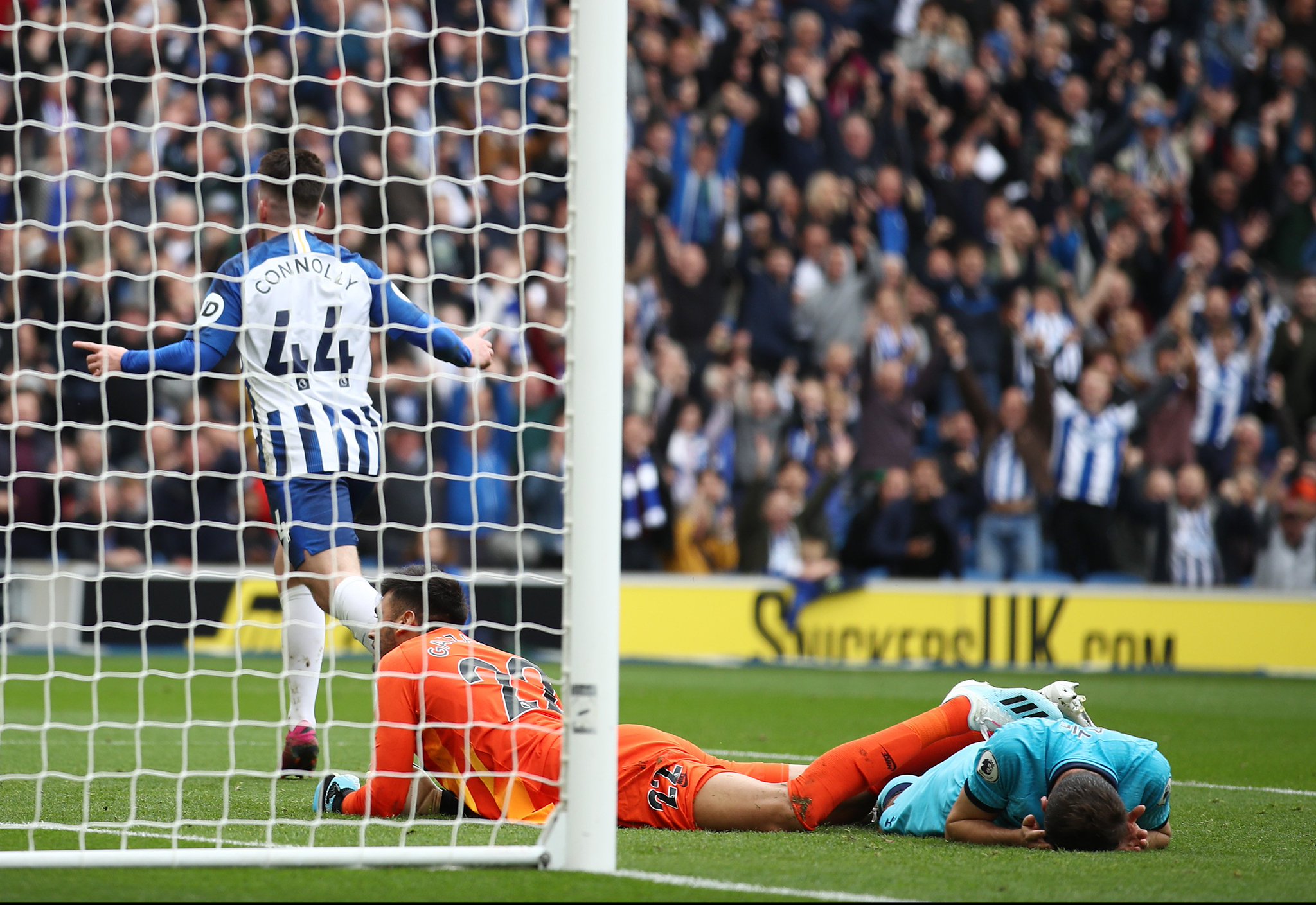 提供大量的 提供大量的